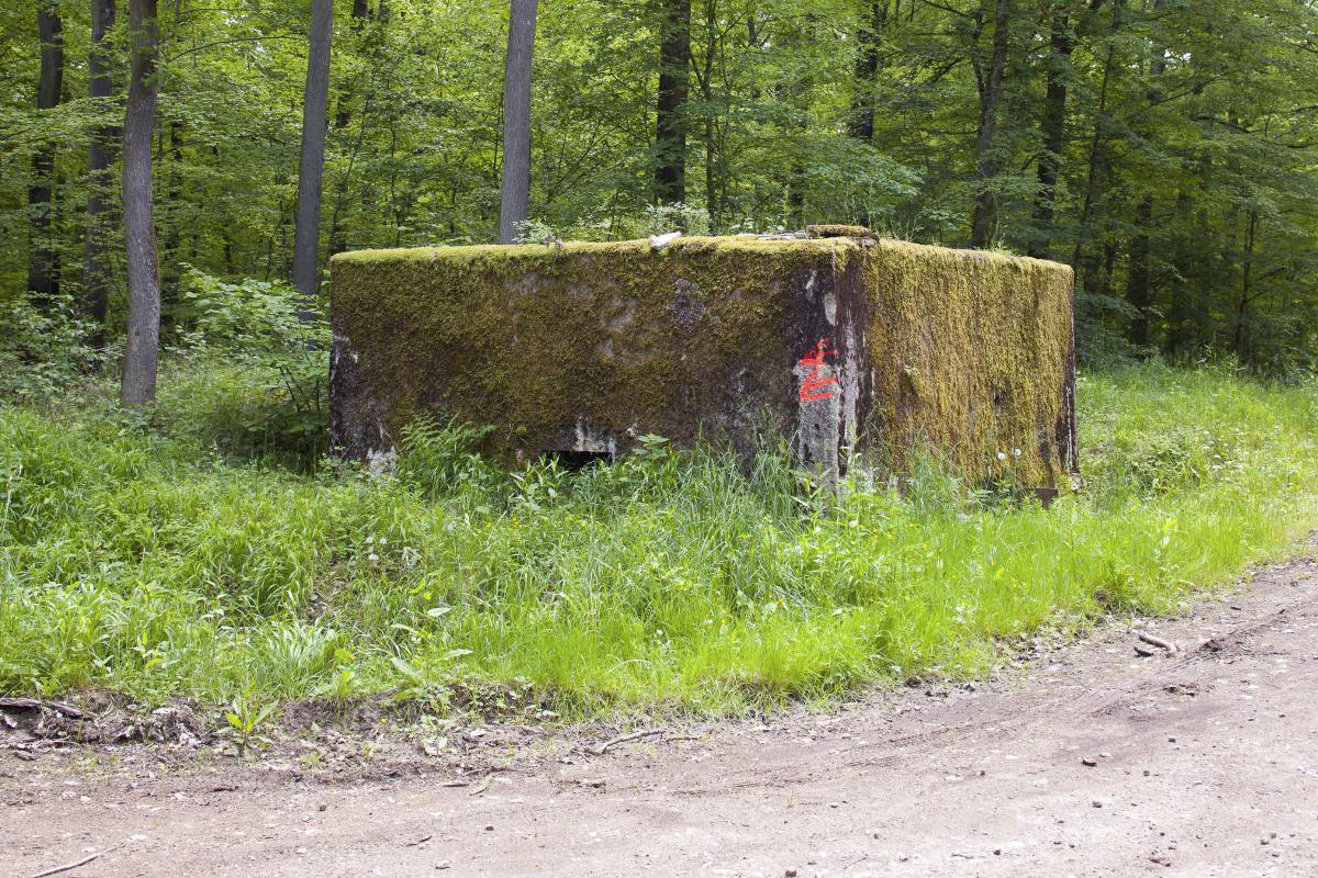 Ligne Maginot - CB246 - HELMREICH 1 - (Blockhaus pour arme infanterie) -  - Arnault JL Photo