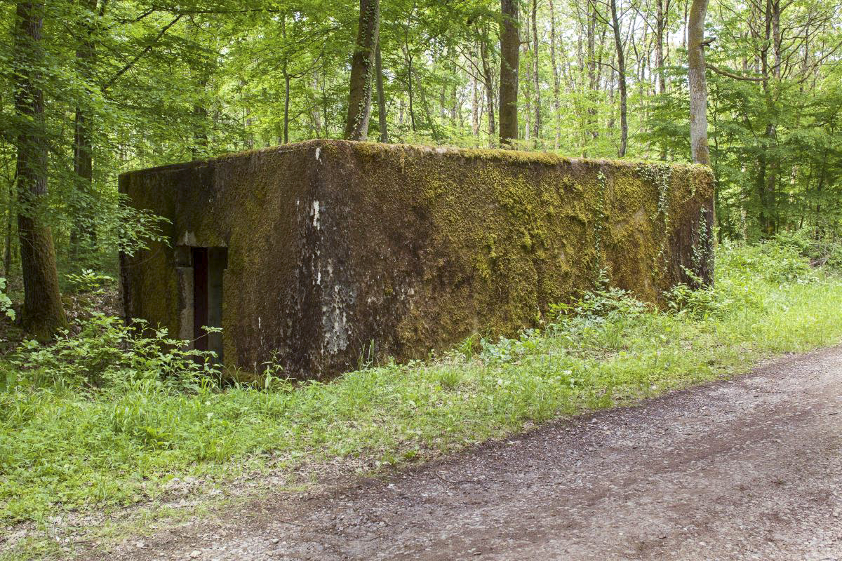 Ligne Maginot - CB249 - HELMREICH 2 - (Blockhaus pour canon) -  - Arnault JL Photo