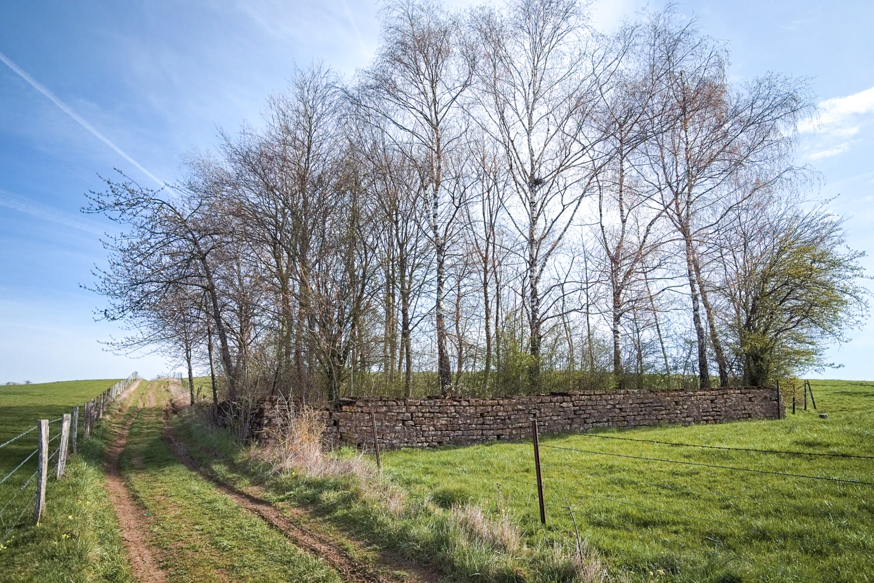 Ligne Maginot - 7L - (Chambre de coupure) -  - Thierry Caland
