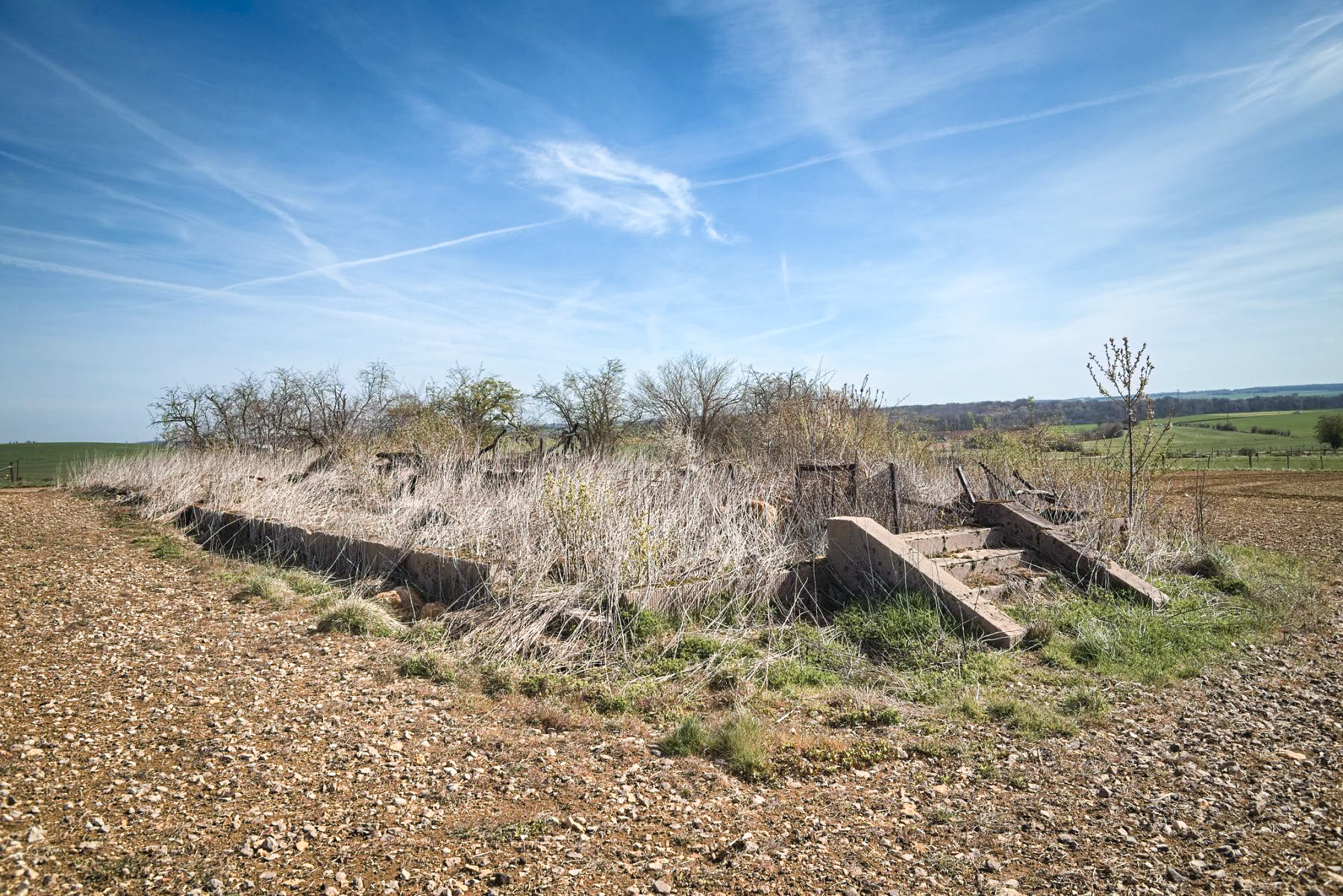 Ligne Maginot - MORT HOMME - (PC) -  - Thierry Caland