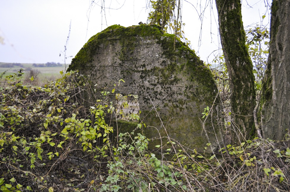 Ligne Maginot - MORT HOMME (PC) - Il ne subsiste que les murs des extrémités et une petite partie des tôles métro, le tout perdu dans la végétation - Pruzsina jérome
