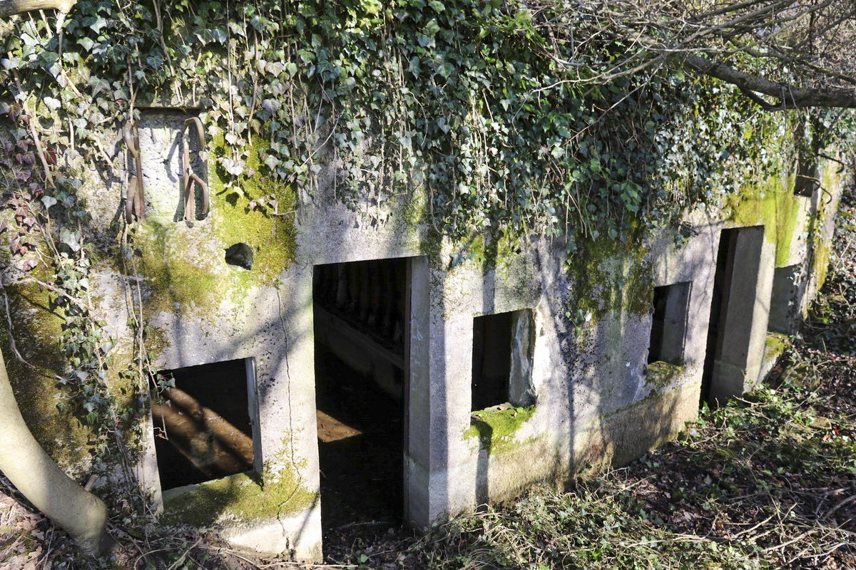 Ligne Maginot - BOIS de CALVERT (PC) - Le PC à deux alvéoles - Alain Perouffe