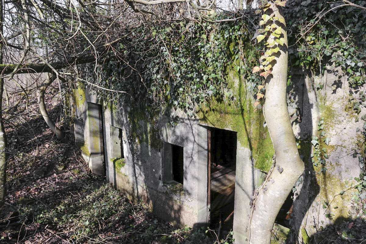 Ligne Maginot - BOIS de CALVERT (PC) -  - Alain Perouffe
