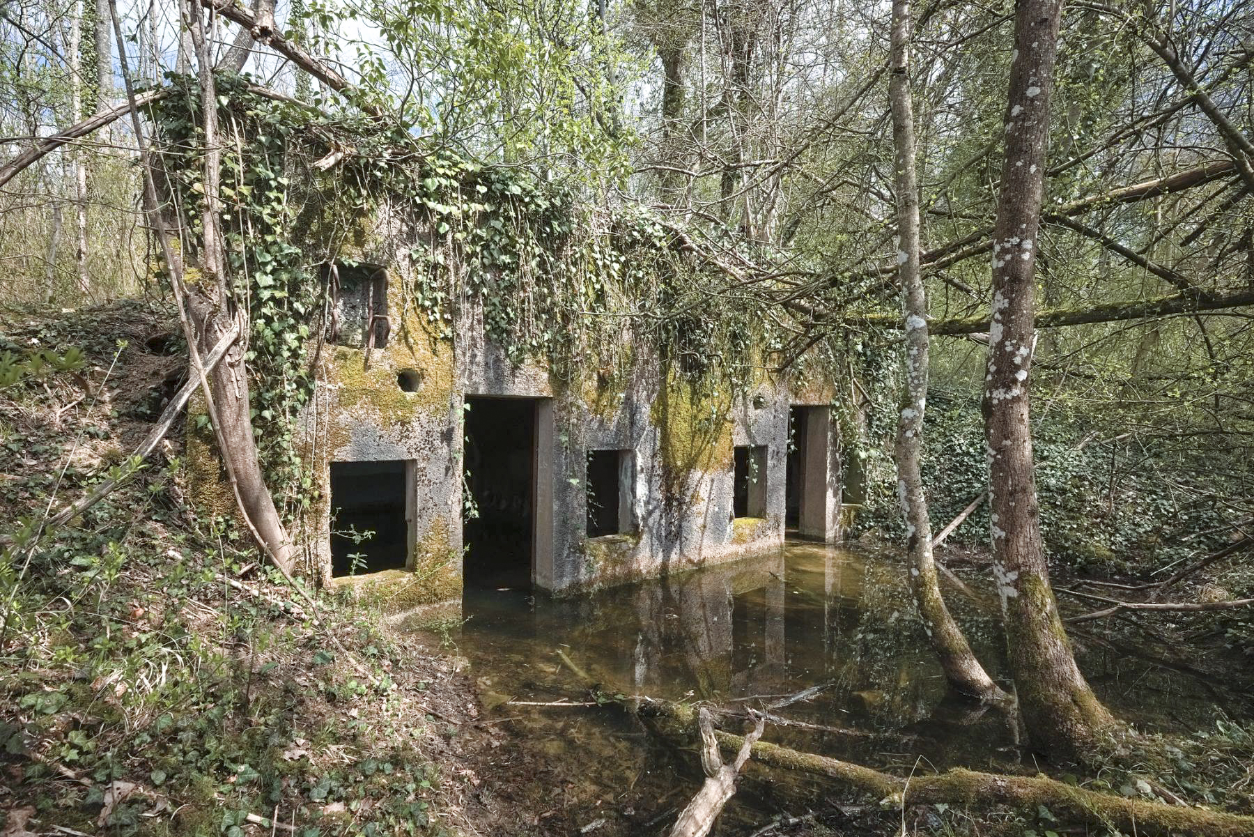 Ligne Maginot - BOIS DE CALVERT - (PC) -  - Thierry Caland