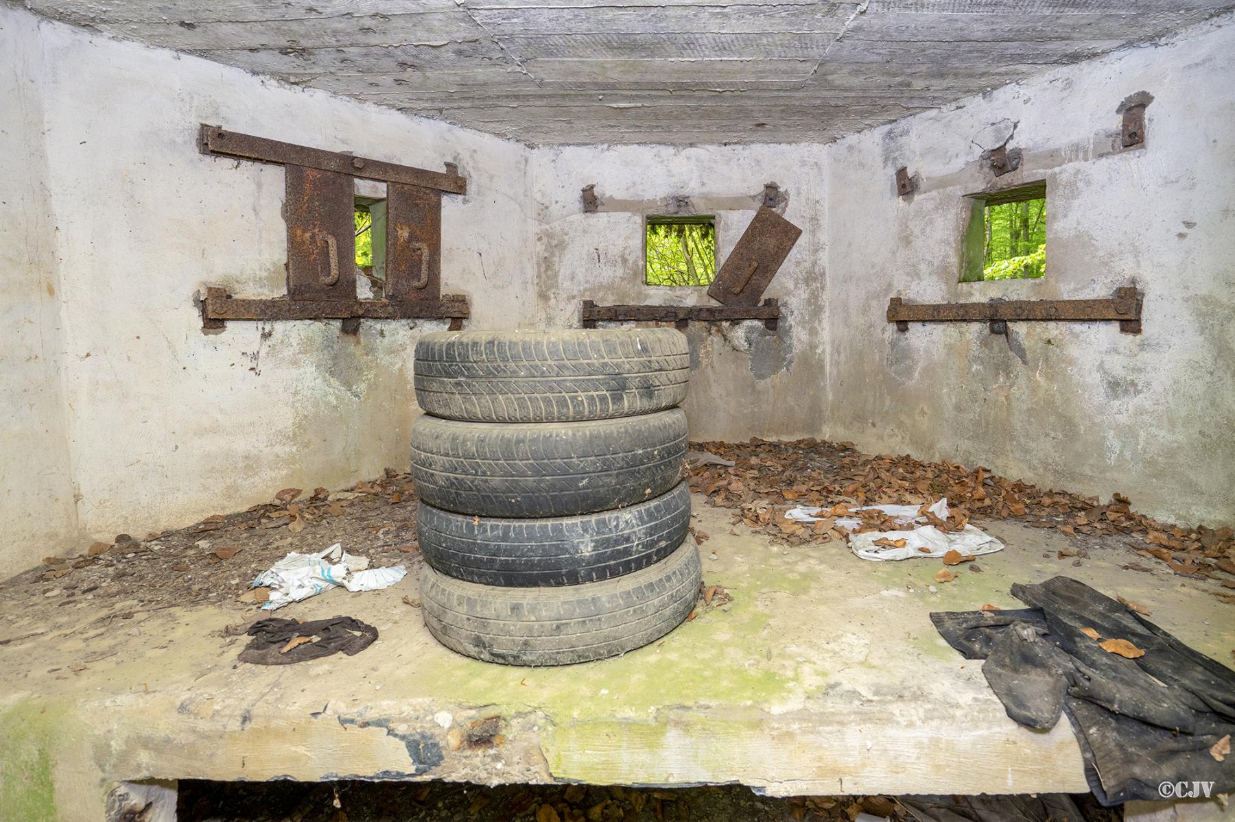 Ligne Maginot - M14 - BOIS DE LANGENSOULTZBACH 4 - (Blockhaus pour arme infanterie) -  - Lia VERMEULEN