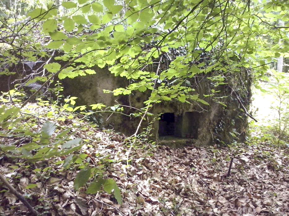 Ligne Maginot - M14 - BOIS DE LANGENSOULTZBACH 4 - (Blockhaus pour arme infanterie) -  - donceuh