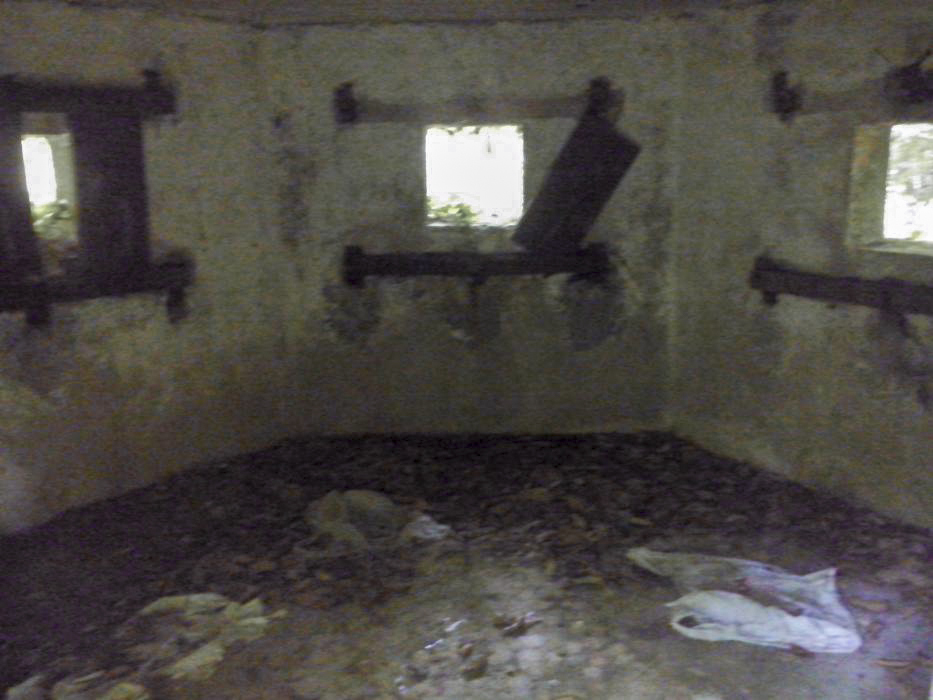 Ligne Maginot - M14 - BOIS DE LANGENSOULTZBACH 4 - (Blockhaus pour arme infanterie) -  - donceuh