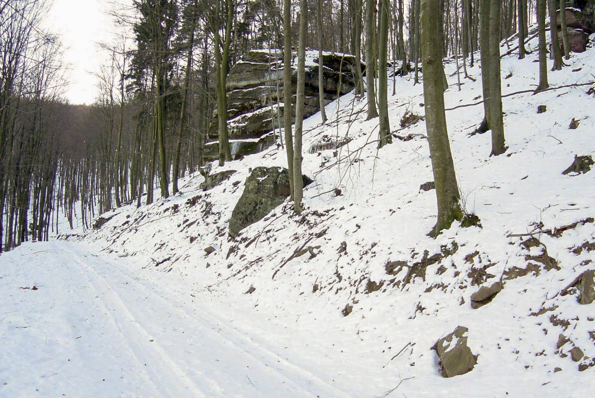 Ligne Maginot - BUNSCHEL Haut (Observatoire d'artillerie) -  - Benoit HENRICH