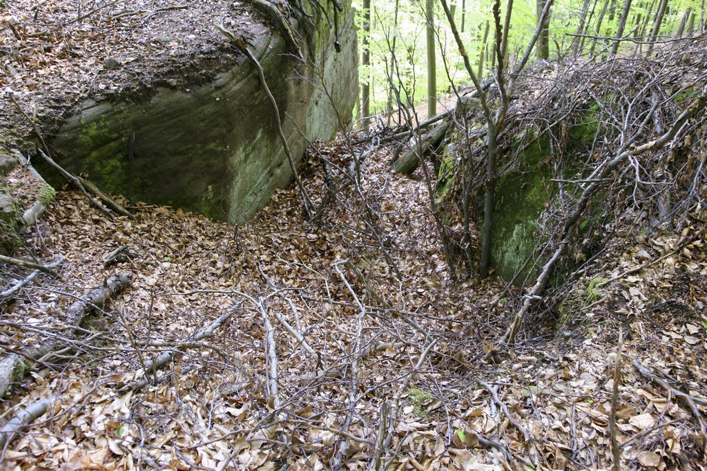 Ligne Maginot - BUNSCHEL Haut (Observatoire d'artillerie) -  - GRUBER Franck