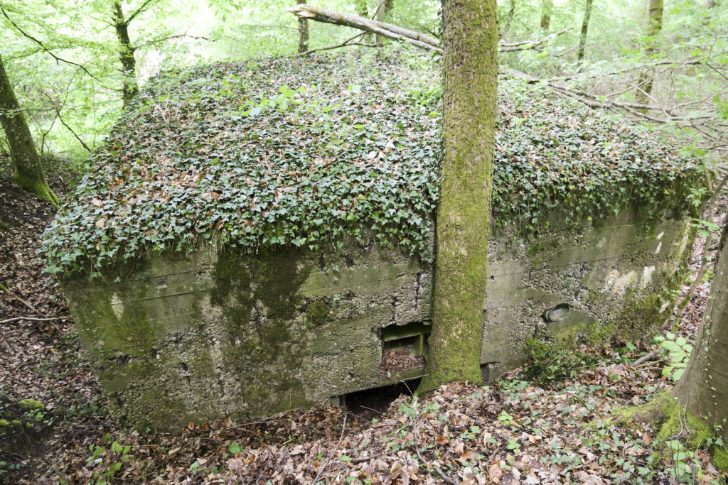 Ligne Maginot - CB424 - NEUWIESE 2 - (Blockhaus pour canon) -  - Alain Perouffe