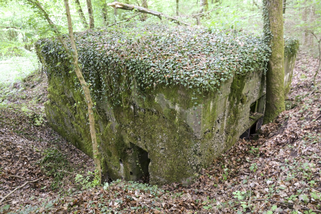 Ligne Maginot - CB424 - NEUWIESE 2 - (Blockhaus pour canon) -  - Alain Perouffe