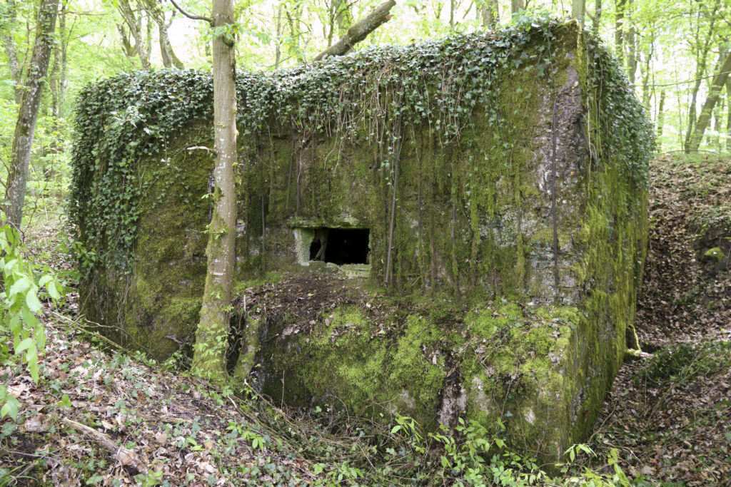 Ligne Maginot - CB424 - NEUWIESE 2 - (Blockhaus pour canon) -  - Alain Perouffe