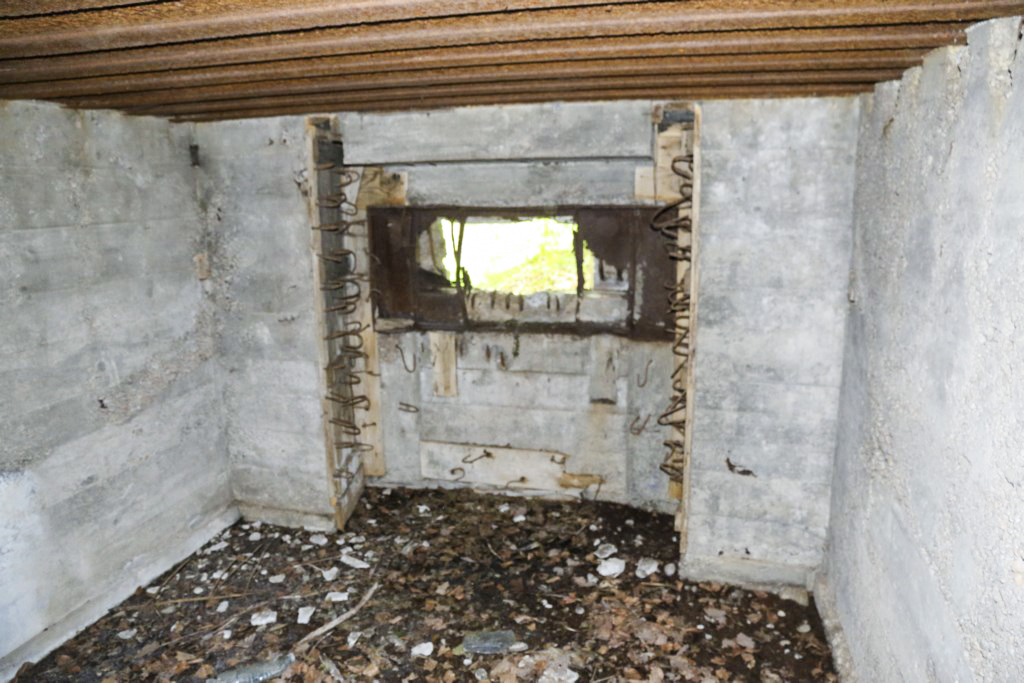 Ligne Maginot - CB424 - NEUWIESE 2 - (Blockhaus pour canon) -  - Alain Perouffe