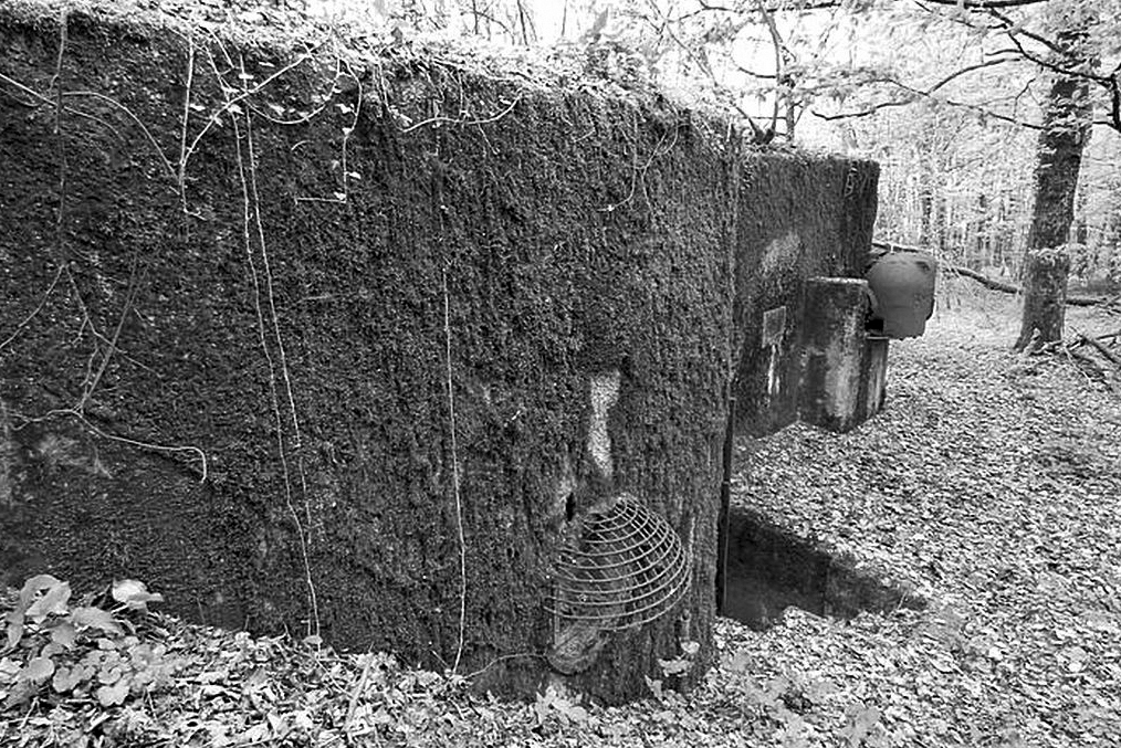 Ligne Maginot - BOIS DE KANFEN EST - C43 - (Casemate d'infanterie) -  - Sylvie Laure LAMBERT