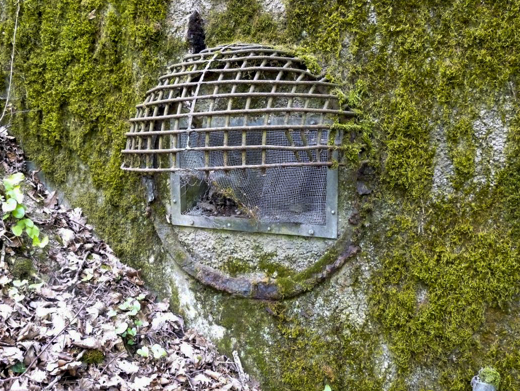 Ligne Maginot - BOIS DE KANFEN EST - C43 - (Casemate d'infanterie) -  - Sylvie Laure LAMBERT
