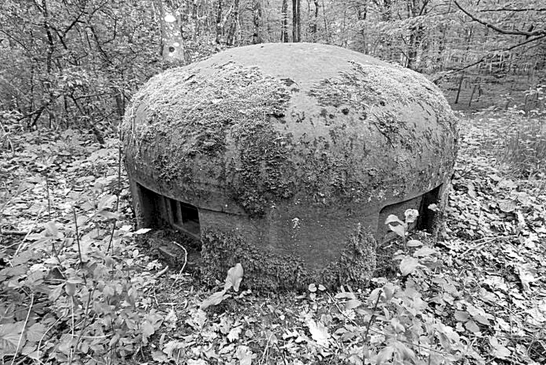 Ligne Maginot - BOIS DE KANFEN EST - C43 - (Casemate d'infanterie) -  - Sylvie Laure LAMBERT