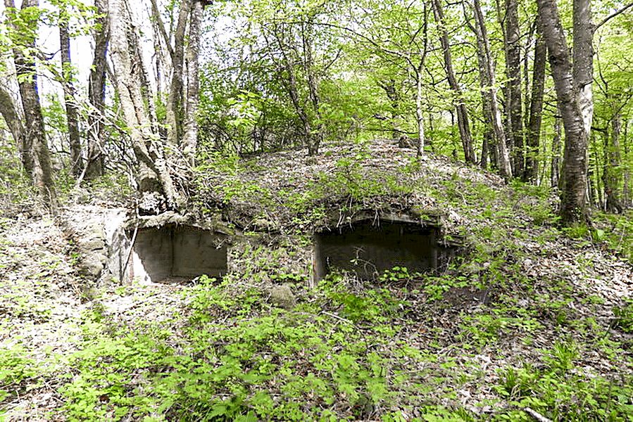 Ligne Maginot - BOIS DE KANFEN EST - C43 - (Casemate d'infanterie) - Niches a mines - Sylvie Laure LAMBERT