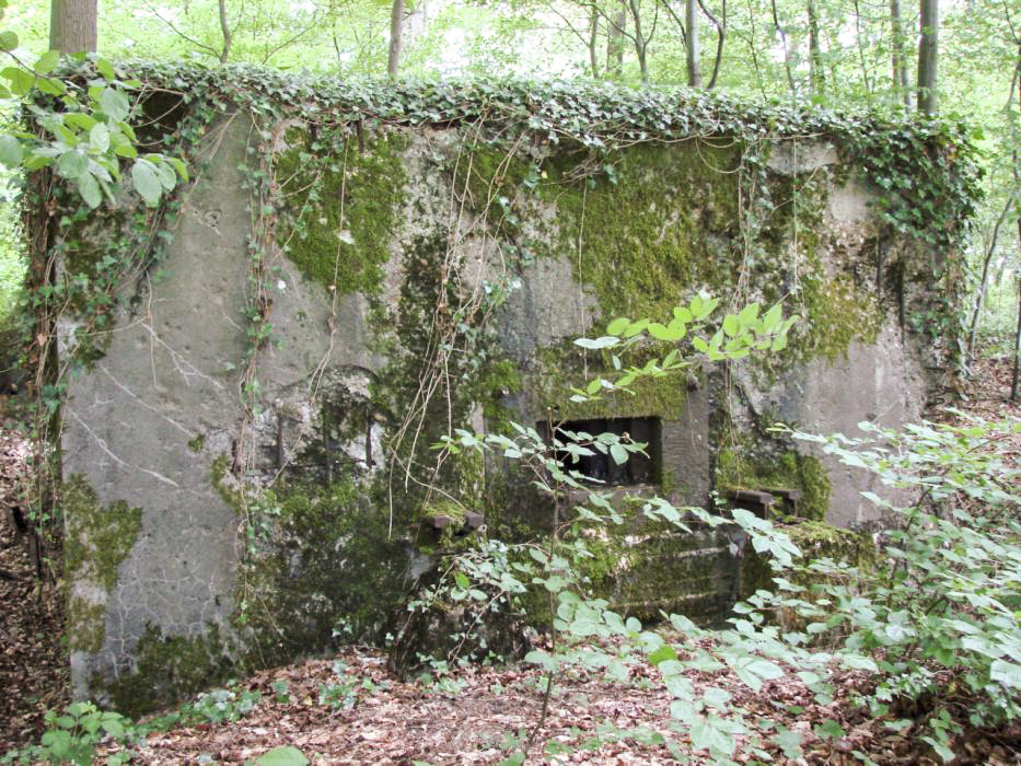 Ligne Maginot - CB421 - NEUWIESE 1 - (Blockhaus pour arme infanterie) -  - Schnoupf