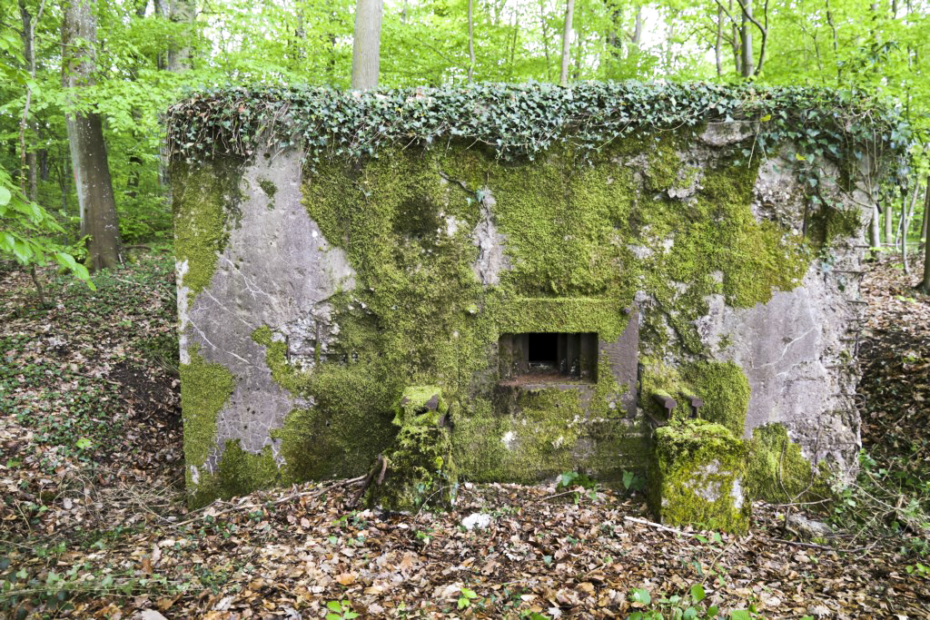 Ligne Maginot - CB421 - NEUWIESE 1 - (Blockhaus pour arme infanterie) -  - Alain Perouffe