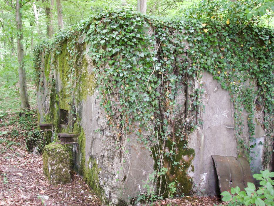 Ligne Maginot - CB421 - NEUWIESE 1 - (Blockhaus pour arme infanterie) -  - Schnoupf