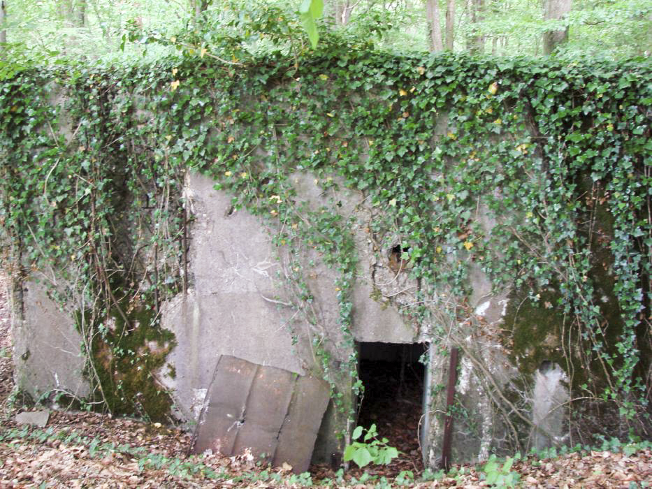 Ligne Maginot - CB421 - NEUWIESE 1 - (Blockhaus pour arme infanterie) - L'entrée du blockhaus - Schnoupf