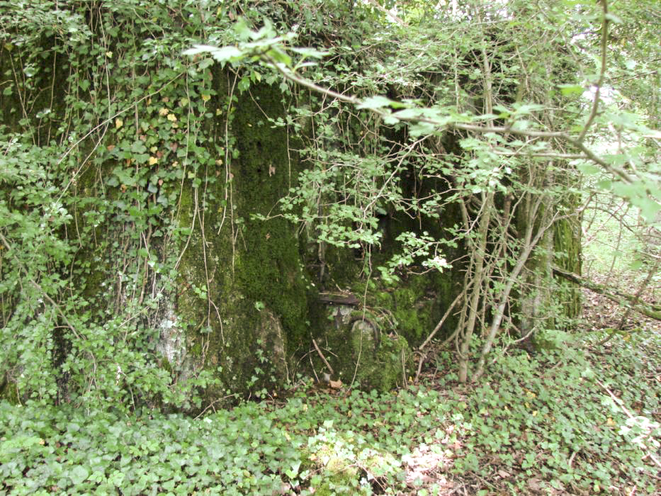 Ligne Maginot - CB422 - HART EST - (Blockhaus pour arme infanterie) -  - Schnoupf