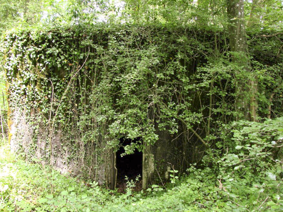 Ligne Maginot - CB422 - HART EST - (Blockhaus pour arme infanterie) -  - Schnoupf