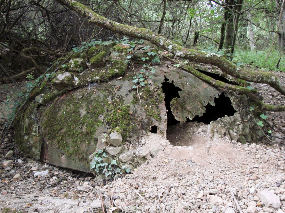 Ligne Maginot - HACKENBERG - A19 (Ouvrage d'artillerie) - Bloc 1
Cloche GFM factice - Schnoupf