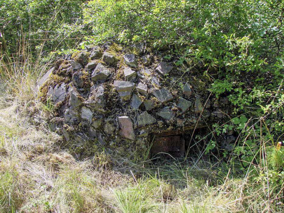 Ligne Maginot - HACKENBERG - A19 (Ouvrage d'artillerie) - Bloc 4
Cloche GFM. - Schnoupf
