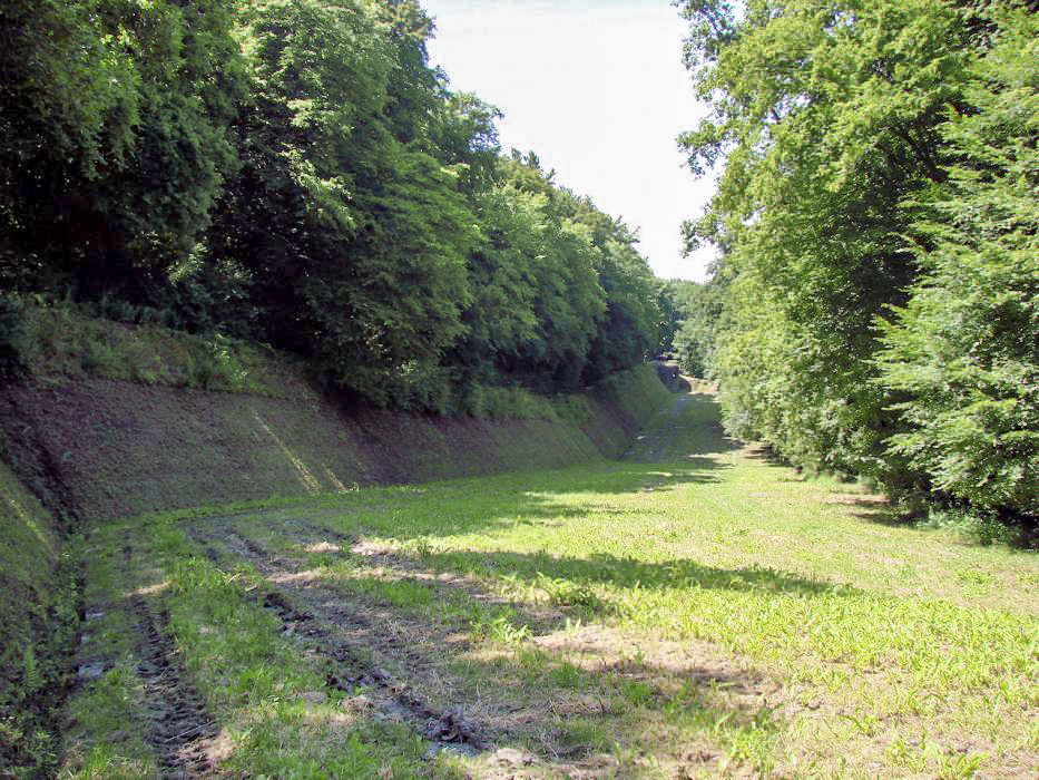 Ligne Maginot - HACKENBERG - A19 (Ouvrage d'artillerie) - Vue du fossé antichar depuis le bloc 22 en direction du bloc 23 que l'on aperçoit au fond. - Schnoupf