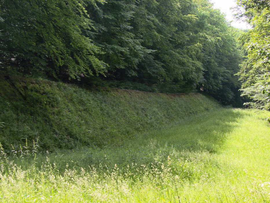 Ligne Maginot - HACKENBERG - A19 (Ouvrage d'artillerie) - Vue du fossé antichar depuis le bloc 23 vers le bloc 24. - Schnoupf