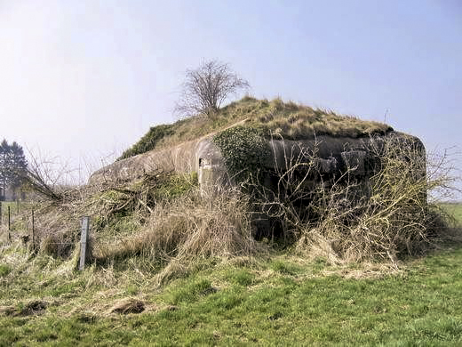 Ligne Maginot - B713 - La PERCHE à l'OISEAU (Blockhaus pour canon) -  - AALMA - www.lignemaginot.com