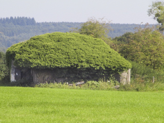 Ligne Maginot - B713 - La PERCHE à l'OISEAU (Blockhaus pour canon) - Blockhaus situé dans un pré. - Randonneur62