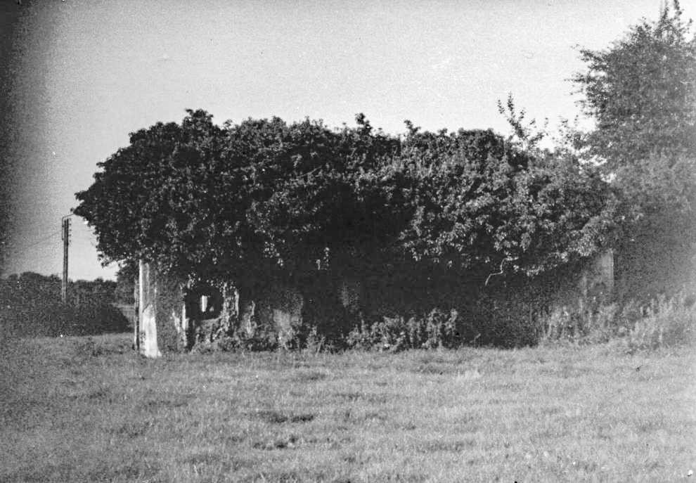 Ligne Maginot - B721 - TRIEUX du CHENEAU (Blockhaus pour canon) - Etat, en 1979.. - legarsdunord