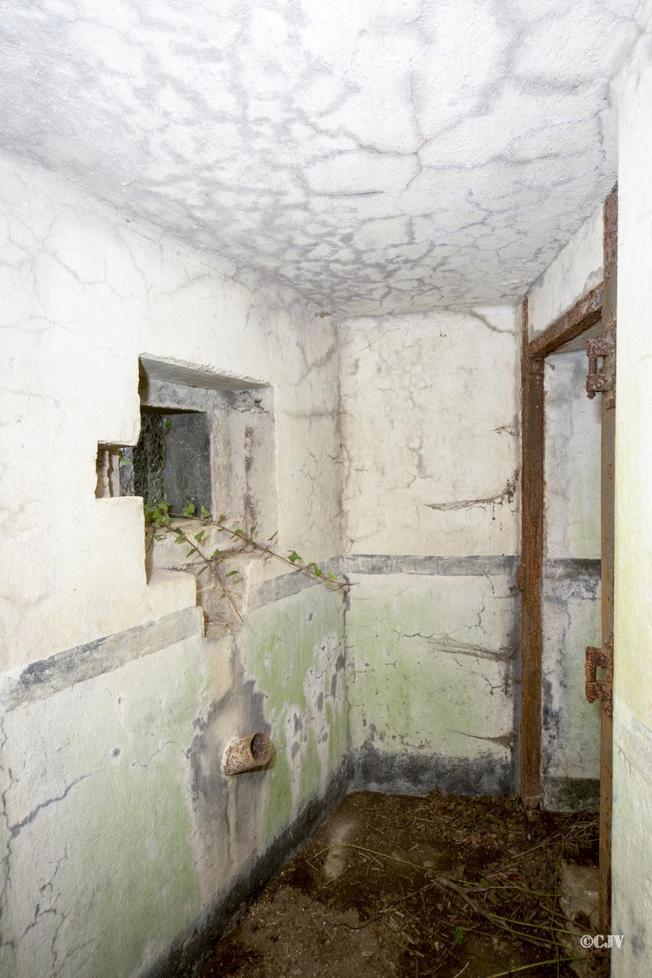Ligne Maginot - B723 - FERME aux PUCES (Blockhaus pour canon) -  - Lia VERMEULEN