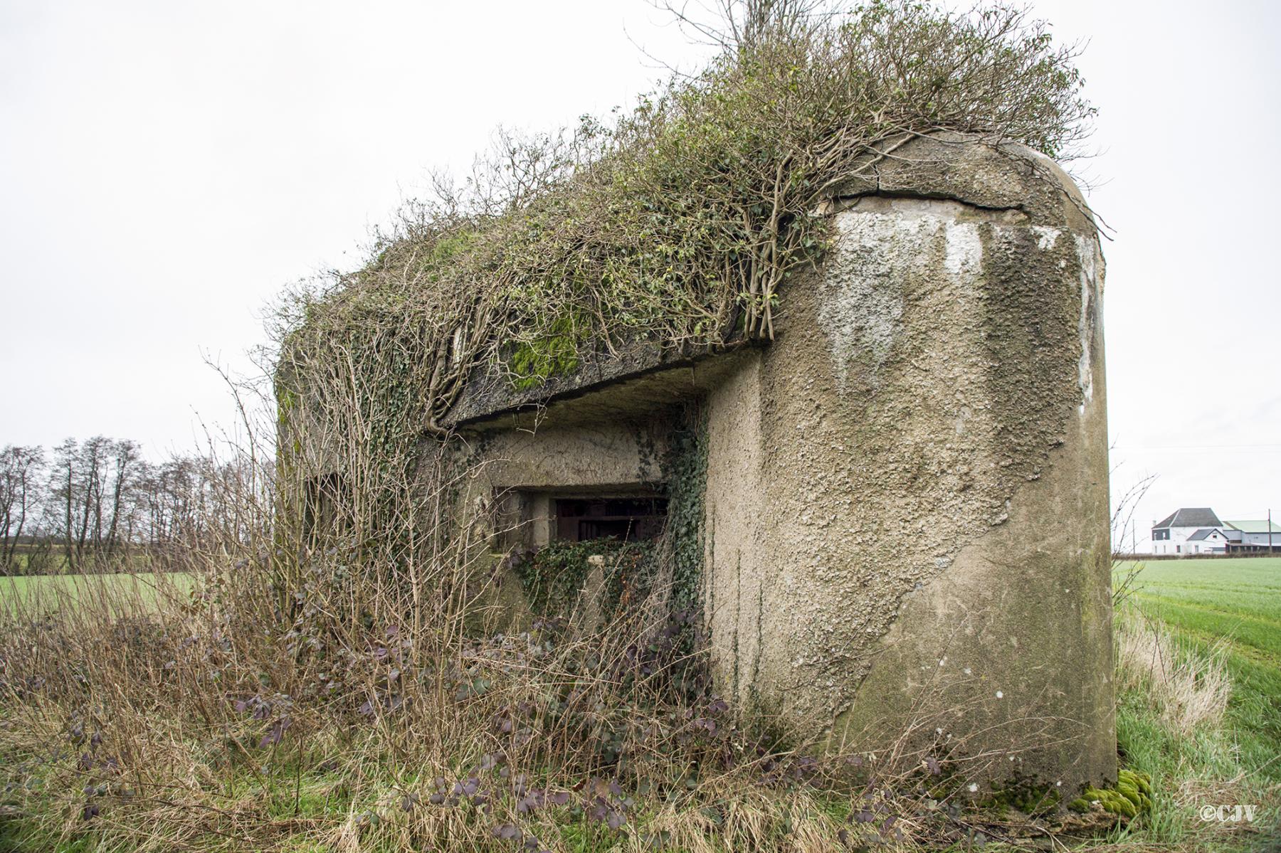 Ligne Maginot - B723 - FERME aux PUCES (Blockhaus pour canon) -  - Lia VERMEULEN