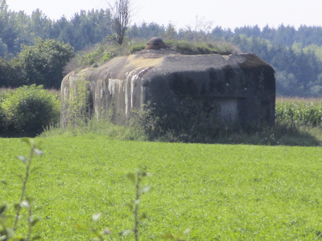 Ligne Maginot - B723 - FERME aux PUCES (Blockhaus pour canon) -  - Randonneur62