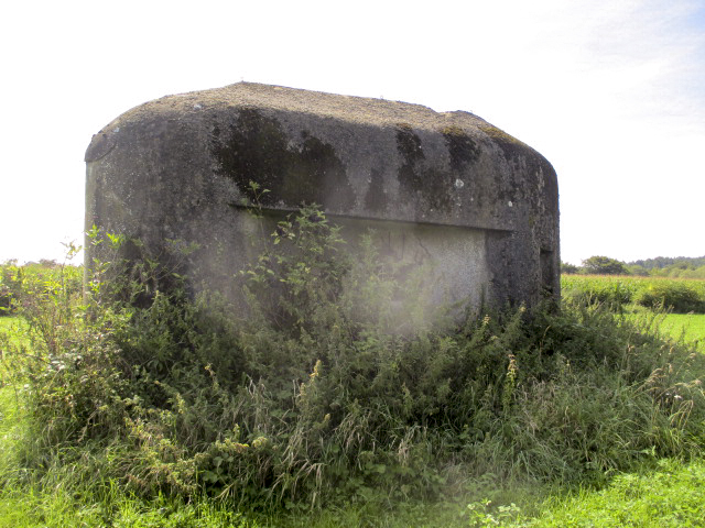 Ligne Maginot - B723 - FERME aux PUCES (Blockhaus pour canon) -  - Randonneur62