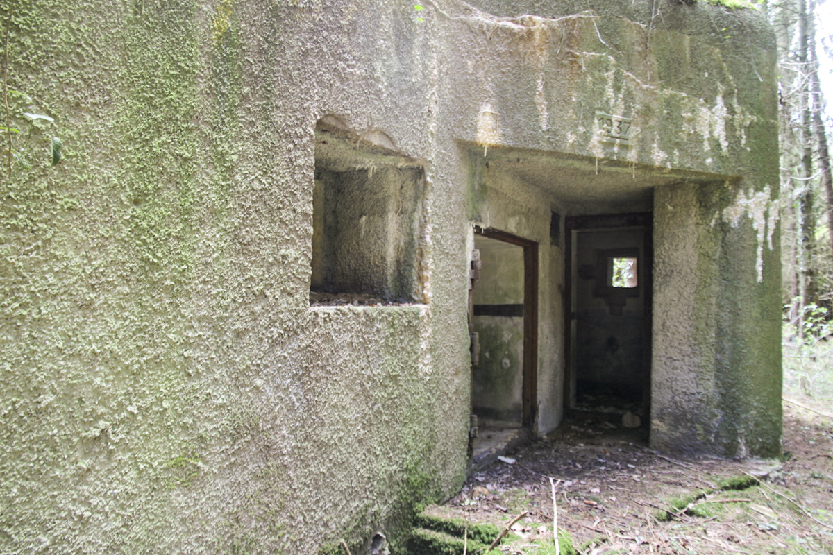 Ligne Maginot - B726 - FERME MIQUET (Blockhaus pour canon) - Les entrées - Alain Perouffe