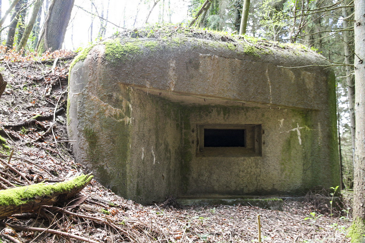 Ligne Maginot - B726 - FERME MIQUET (Blockhaus pour canon) - Façade Nord - Alain Perouffe