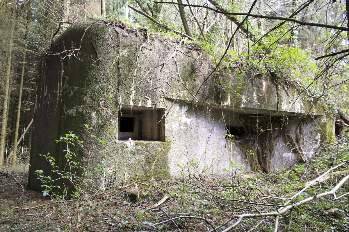 Ligne Maginot - B726 - FERME MIQUET (Blockhaus pour canon) - Façade Sud - Alain Perouffe
