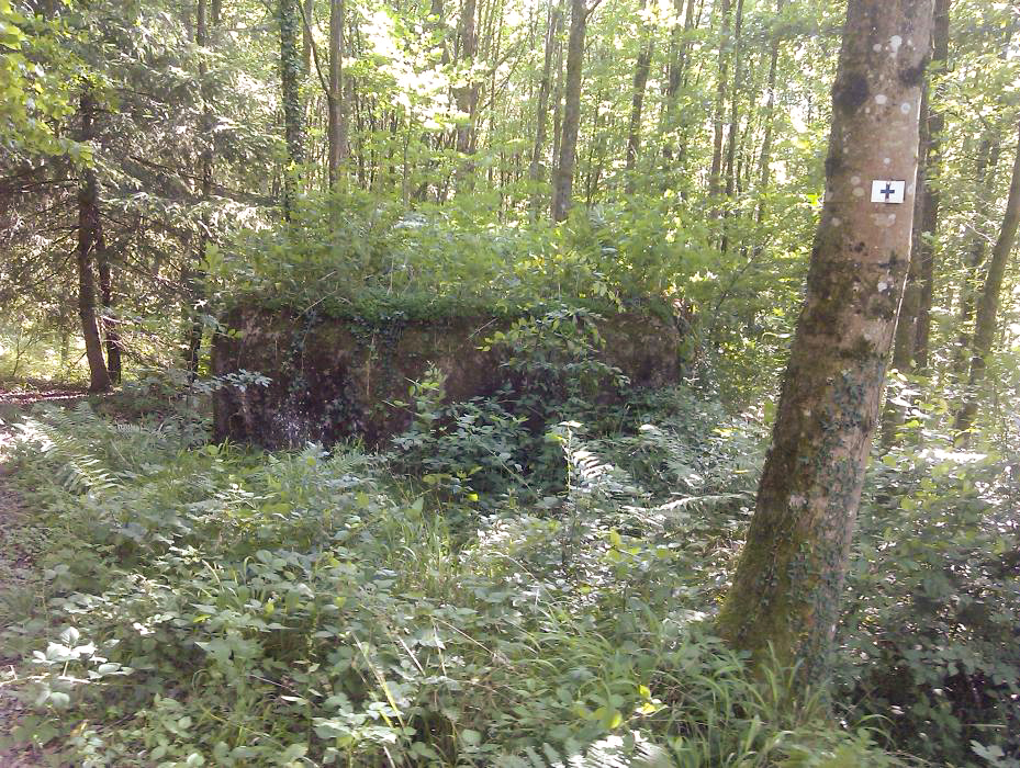 Ligne Maginot - C8 - NONNENHARDT MAISON FORESTIERE 2 - (Blockhaus pour canon) - Le blockhaus C8 - donceuh