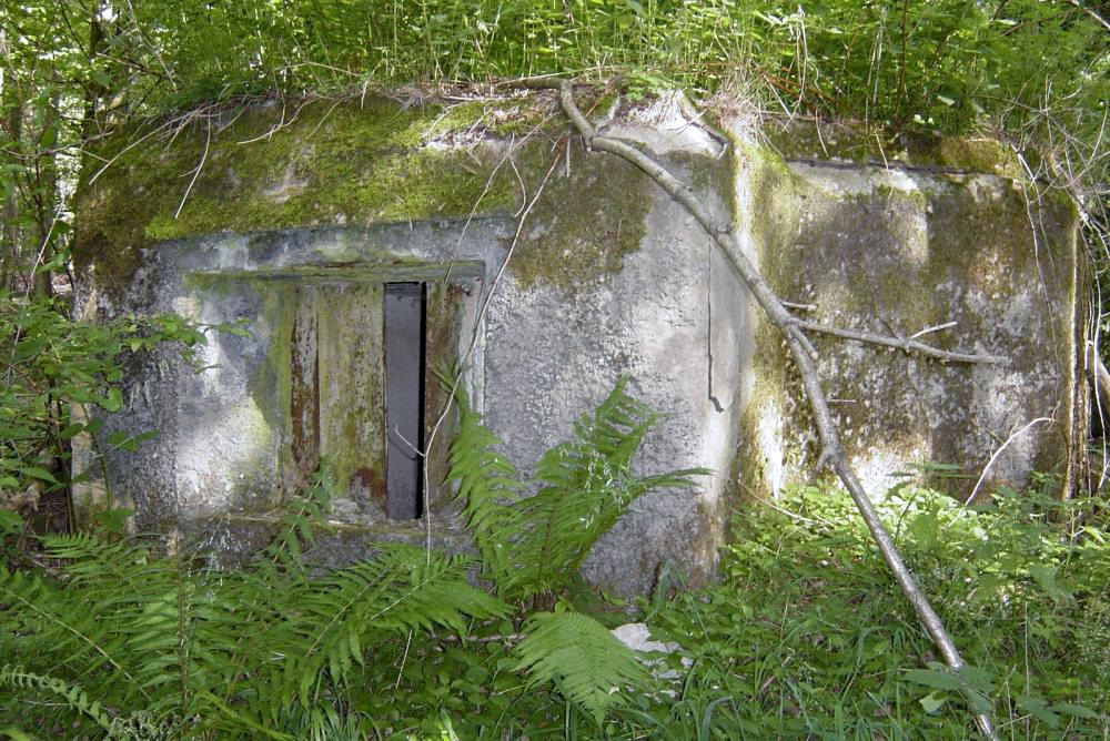 Ligne Maginot - C8 - NONNENHARDT MAISON FORESTIERE 2 - (Blockhaus pour canon) - Façade frontal avec créneau antichar - B. Henrich