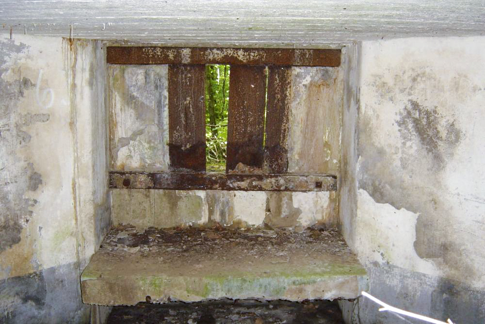 Ligne Maginot - C8 - NONNENHARDT MAISON FORESTIERE 2 - (Blockhaus pour canon) - Créneau antichar - B. Henrich