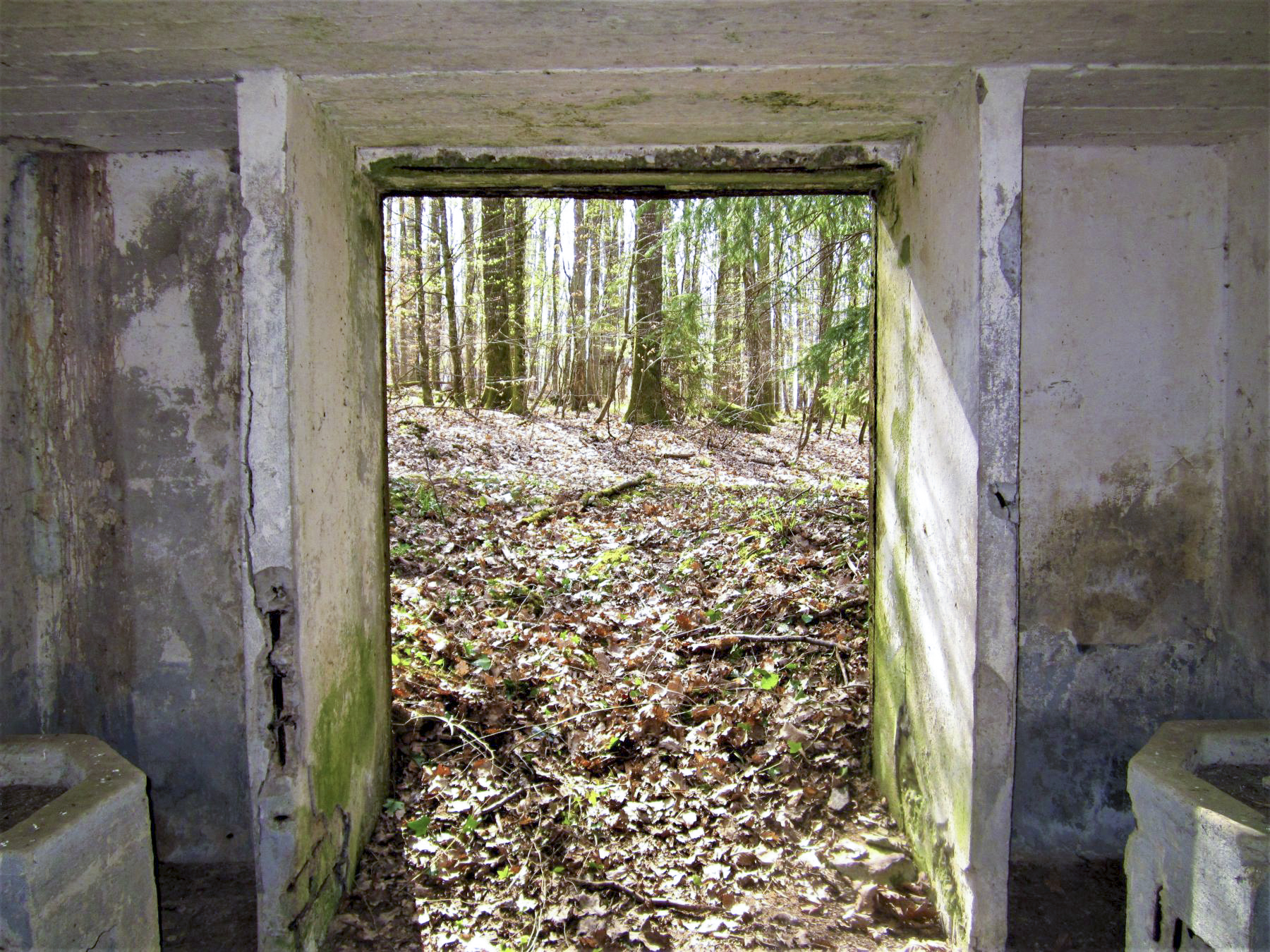 Ligne Maginot - C8 - NONNENHARDT MAISON FORESTIERE 2 - (Blockhaus pour canon) - L'entrée - Gregory Fuchs