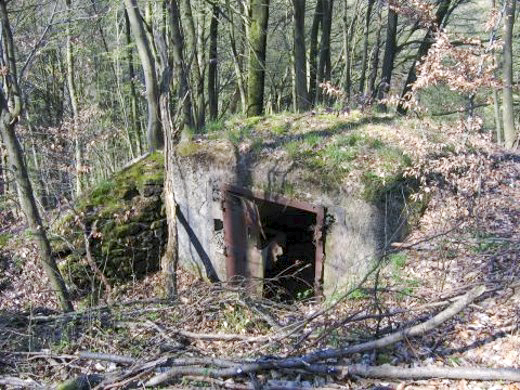 Ligne Maginot - C11 - PETIT MUEHLBERG SUD - (Blockhaus pour canon) - L'accès arrière du blockhaus - AALMA