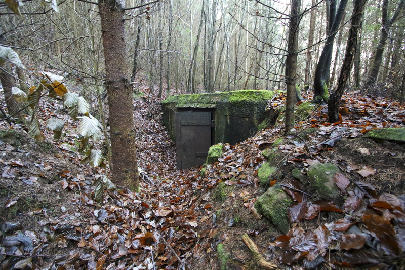 Ligne Maginot - C12 - FINSTERKOPF - (Blockhaus pour canon) -  - GRUBER Franck