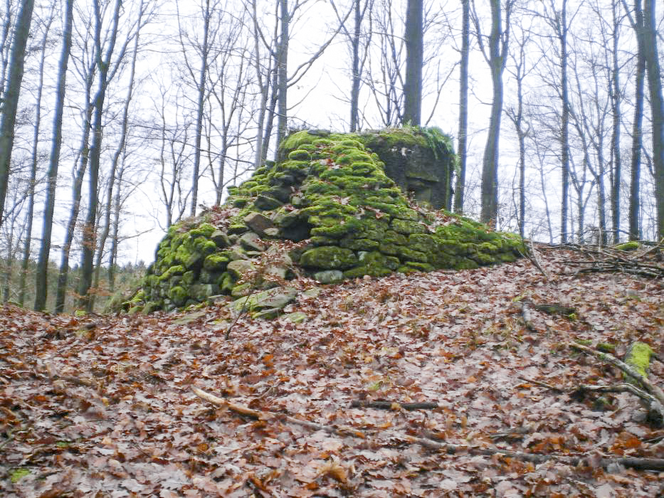 Ligne Maginot - FM39 - DIEBSKOPF 1 - (Blockhaus pour arme infanterie) - Le rocaillage protégeant le bloc - donceuh