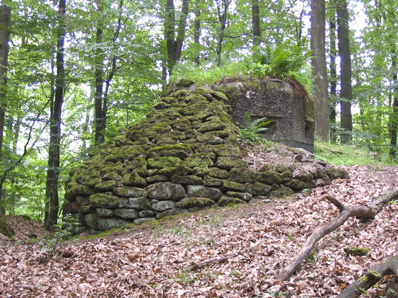 Ligne Maginot - FM39 - DIEBSKOPF 1 - (Blockhaus pour arme infanterie) - Le rocaillage protégeant le bloc - Antoine SCHOEN