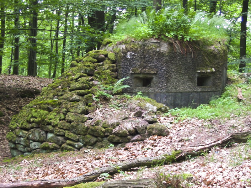 Ligne Maginot - FM39 - DIEBSKOPF 1 - (Blockhaus pour arme infanterie) - Le créneau frontal et latéral gauche - Antoine SCHOEN